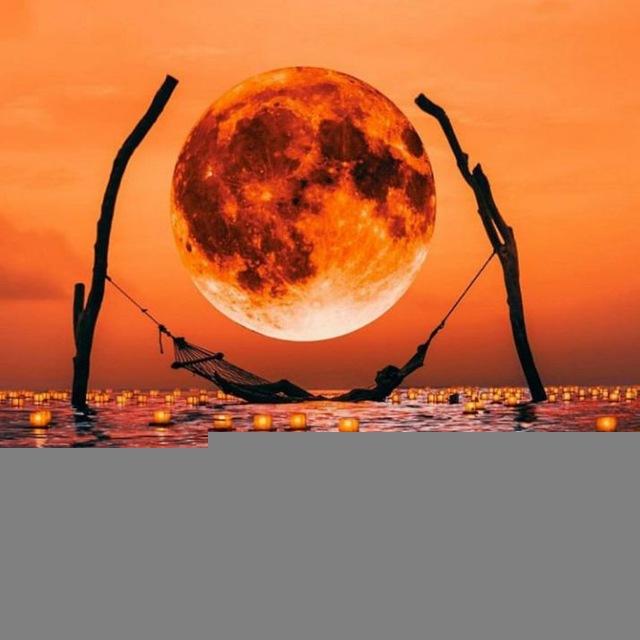 بخواهید تا به شماداده شود