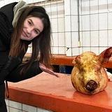 НЕНАСТЯ