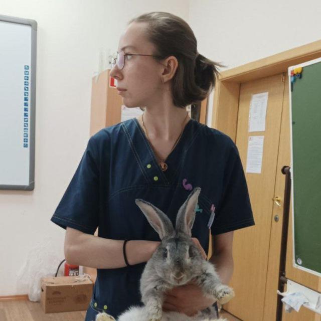 Хижина_Авантюристов❤️‍🔥