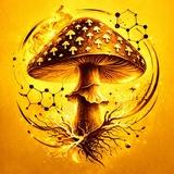 ГрИбНоЙ эФфЕкТ 🍄 КРАСНЫЙ, ПАНТЕРНЫЙ, ЕЖОВИК, КОРДИЦЕПС, РЕЙШИ, ЧАГА