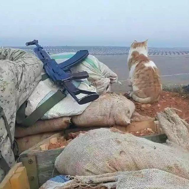 War Reporter