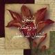 منبه حبيبتان إلى الرحمن