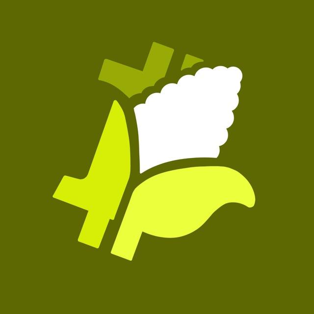 BitKorn