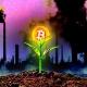 💯💰My BITCOIN💰💯