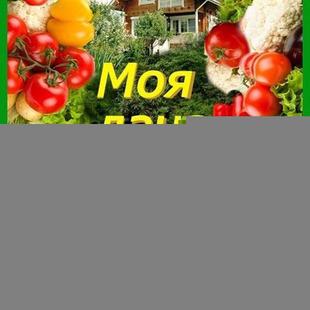 Моя дача