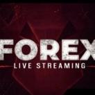 Forex live 𝗚𝗮𝘂𝗿𝗱𝗲𝗲𝗿