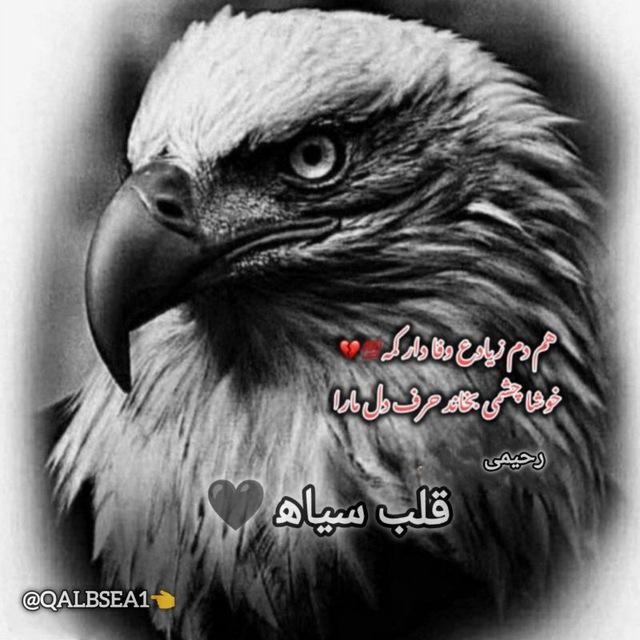 قلب سیاه‍ 🖤