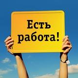 Отчет по визам 🪪