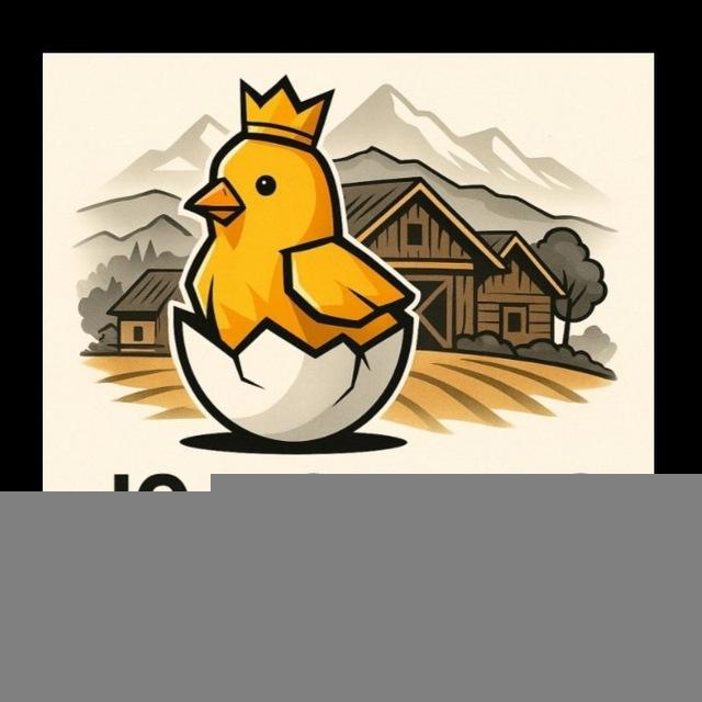 Tovuqlar.termiz_75🐣