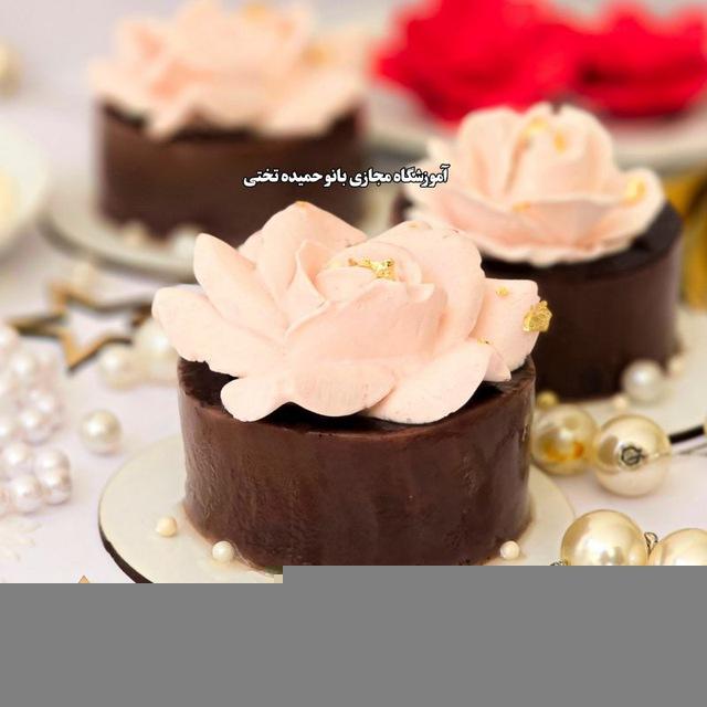 ترجمه دستورات خارجی حمیده تختی