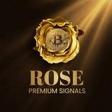 Rose Signal Premium [G]
