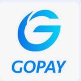 GOPAY |USDT exchange for rupees