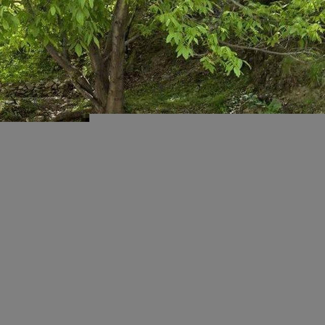 🌀 مهرداد تاجیک