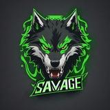 AmoSavage | عموسویج