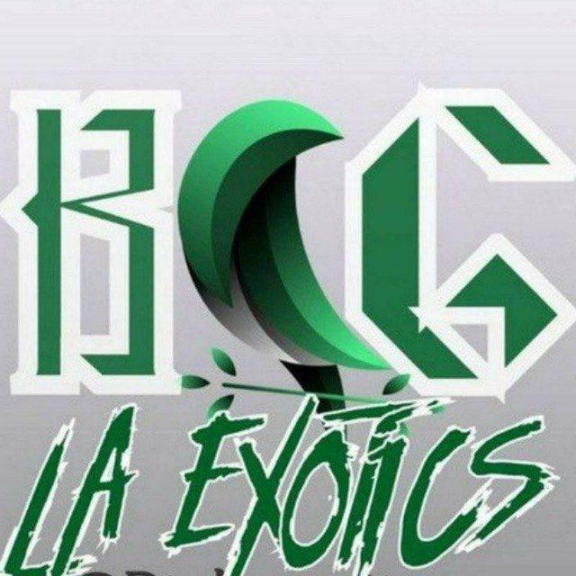 Big LA Exotics 🏆