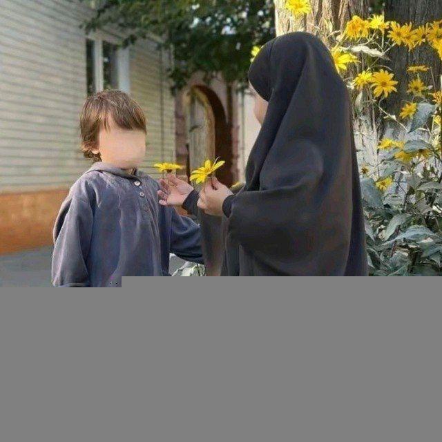 عبارات | ليطمئن قلبك