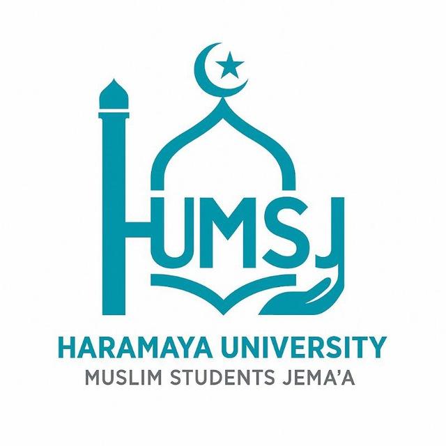 INFORMATION AND TECHNOLOGY SECTOR OF HUMSJ