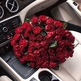 ♥️نبـض الأمـل♥️
