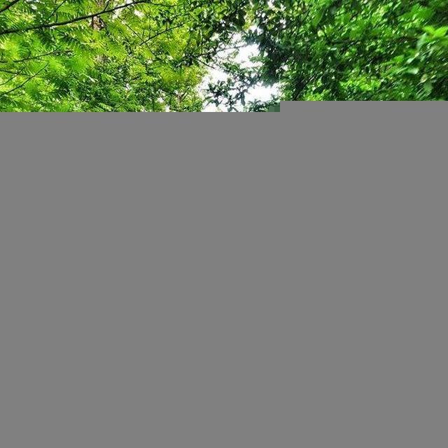 🌿حسِ خوبِ زندگی🌿
