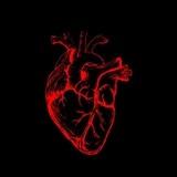 Feelings.🫀.ْمَشَاْعِر