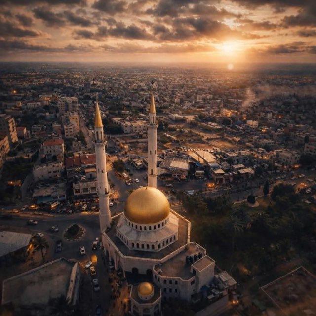 مناقشات - بوابة قلقيلية