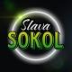 SLAVA SOKOL | Авторские прогнозы