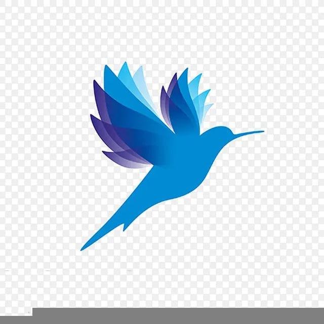 翻墙梯子 翻墙VPN 加速器推荐