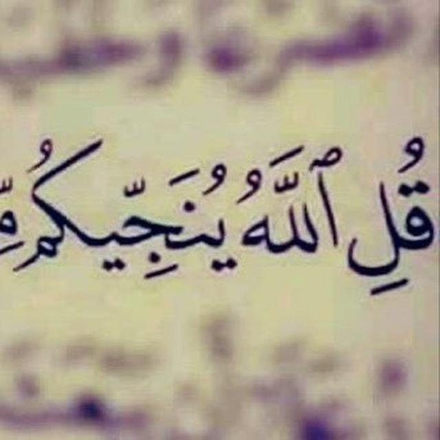 مهارات للبقاء 🌴✨