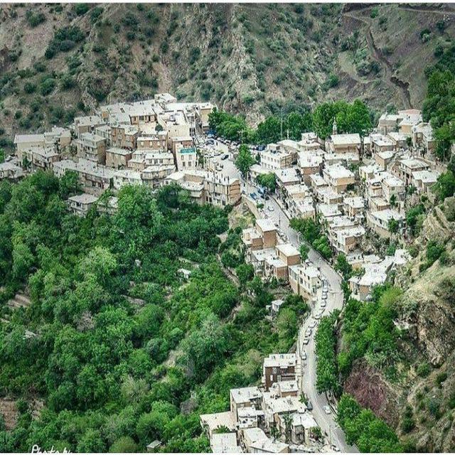 نوسود
