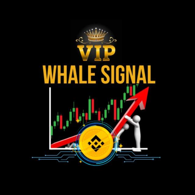 Whale Signal VIP📊