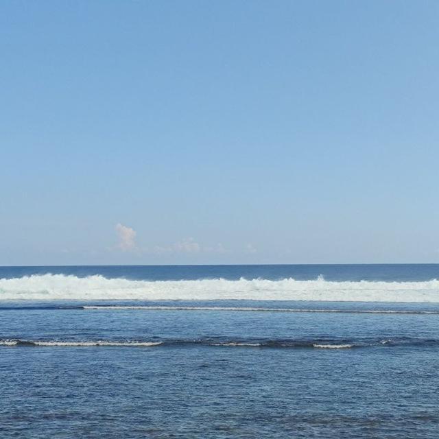 ︎︎