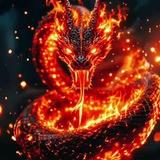 DRAGAO SINAL 🎲🐲🔥