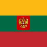 Литва головного мозга