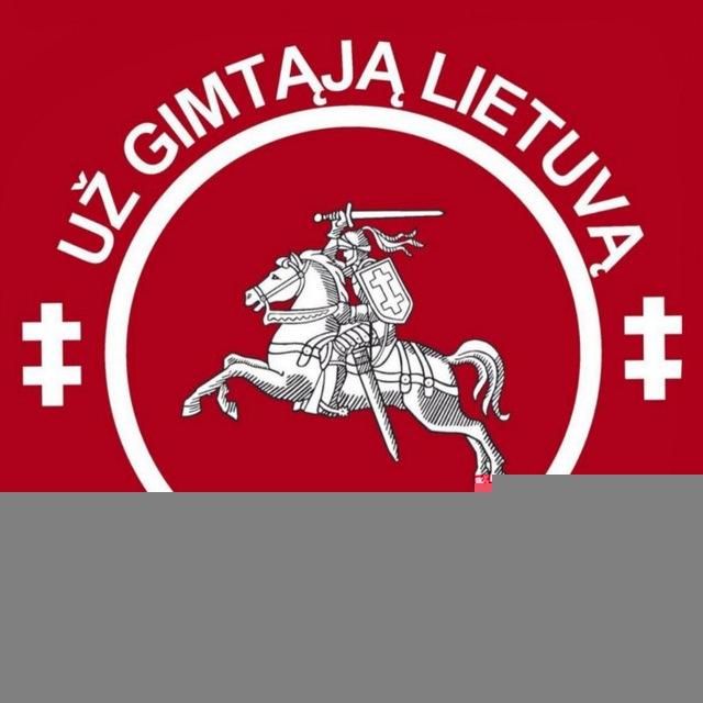 Jaunieji partizanai