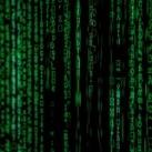 📊 MetalDev - Canal Público