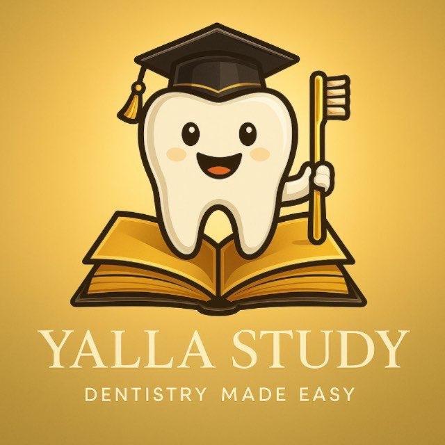 YALLA STUDY ✨