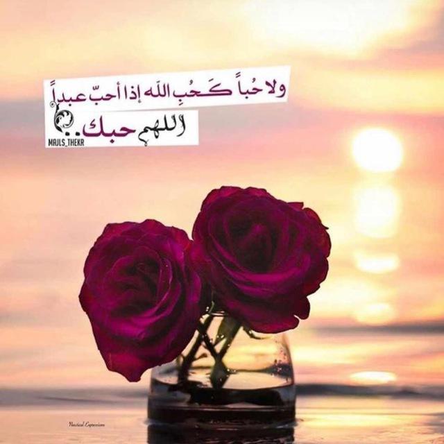 قصص ومواعظـ دينية♥️🌸