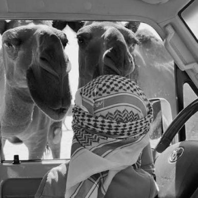 تـناهيد