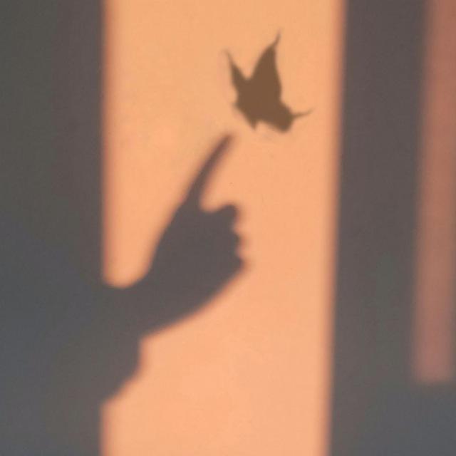 | 𝐬𝐢𝐥𝐞𝐧𝐭 𝐒𝐜𝐫𝐞𝐚𝐦 |