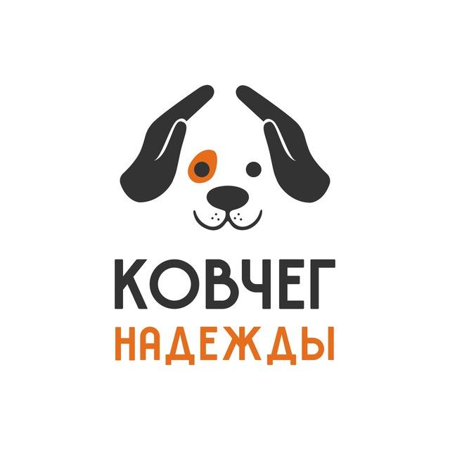 Приют «Ковчег Надежды»