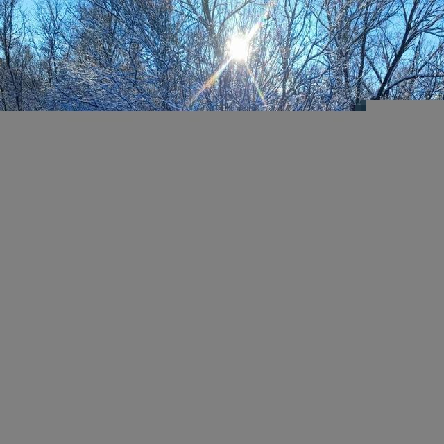 ВЕСТНИК