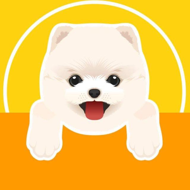 ШПИЦ •ПОМЕРАНСКИЙ •POMERANIAN SPITZ