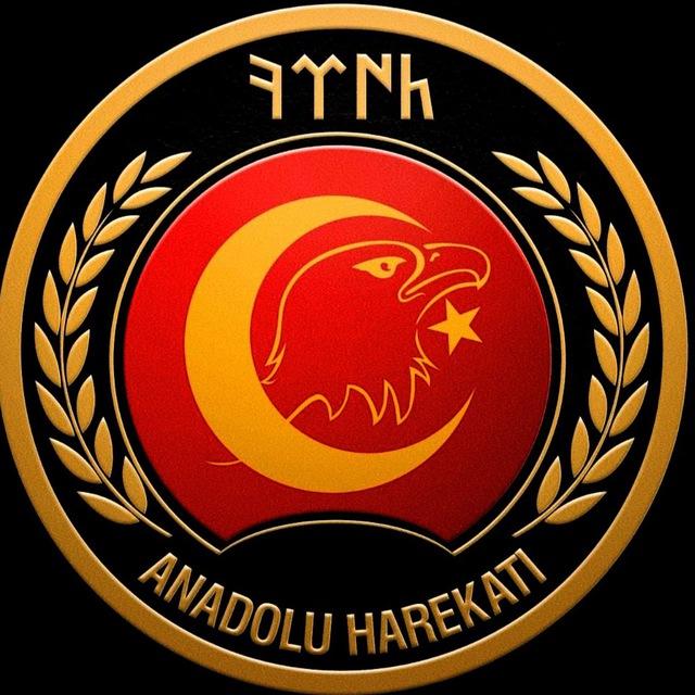 Anadolu Harekâtı