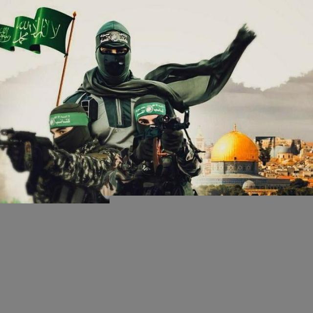 زئير المدفعية..💚