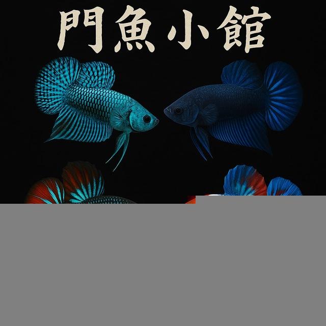斗鱼小馆🐟
