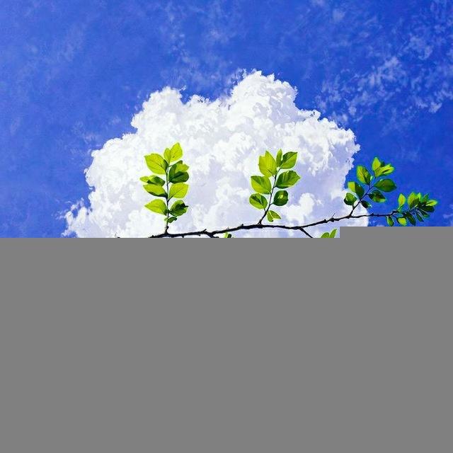 _ عَلى قَيْدِ حُلْم و أُُمْنِيـَ𓂆ـةْ.