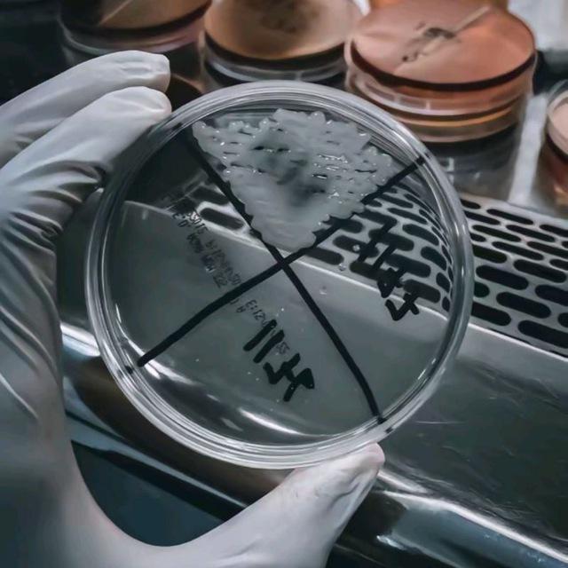 لَمـة مُحللـين🔬🩸