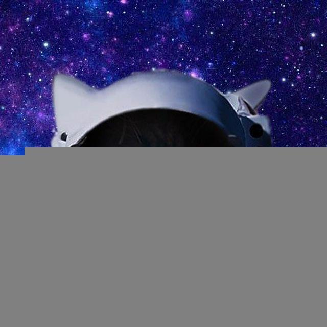 Шмоня и её друзья