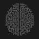 BrainMaze Technology