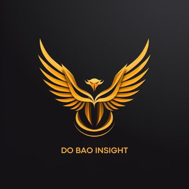 Đỗ Bảo Insights